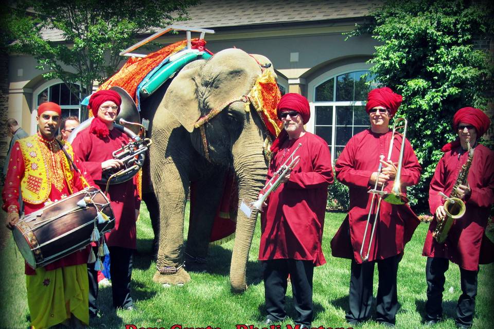 Dholi Mastana - Dhol Drum Player