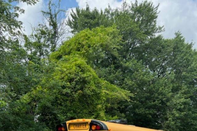 55 Pax Yellow School Bus