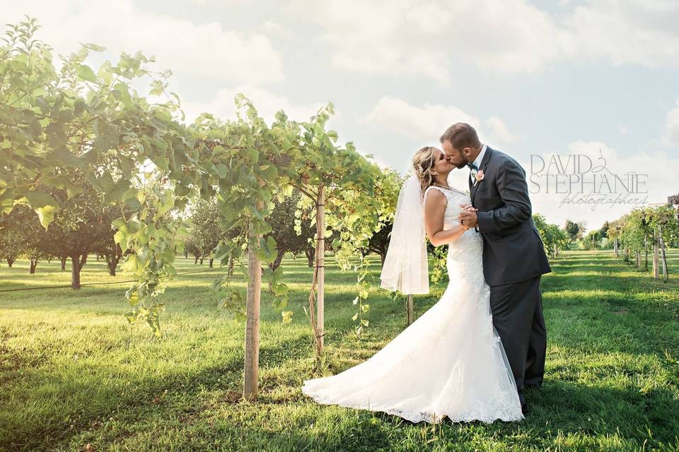 Kiss at the vineyard