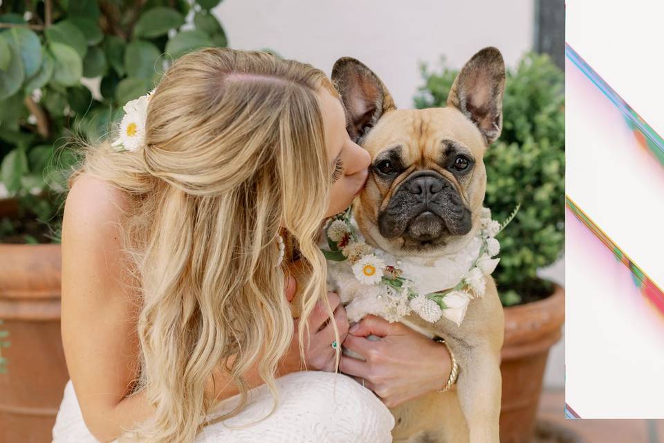 Cutest flower girl