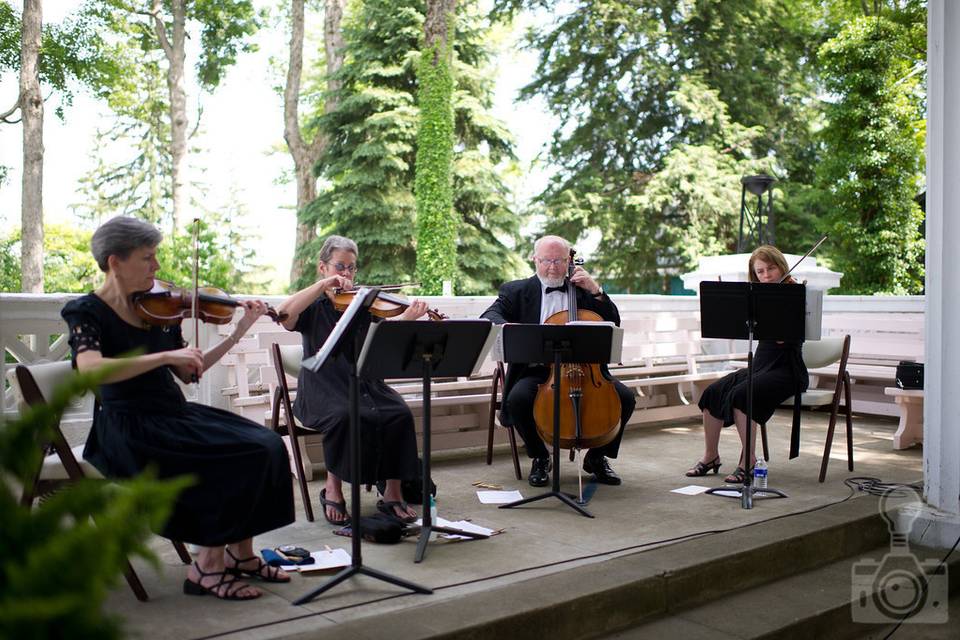 Wedding musicians