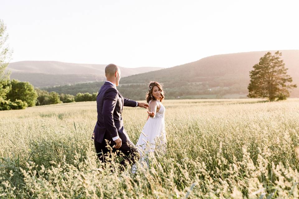 Summer in the Hayfields