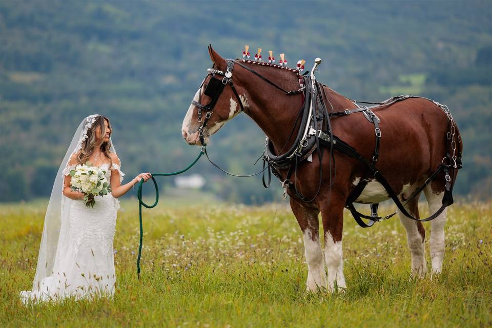Portraits with the horses