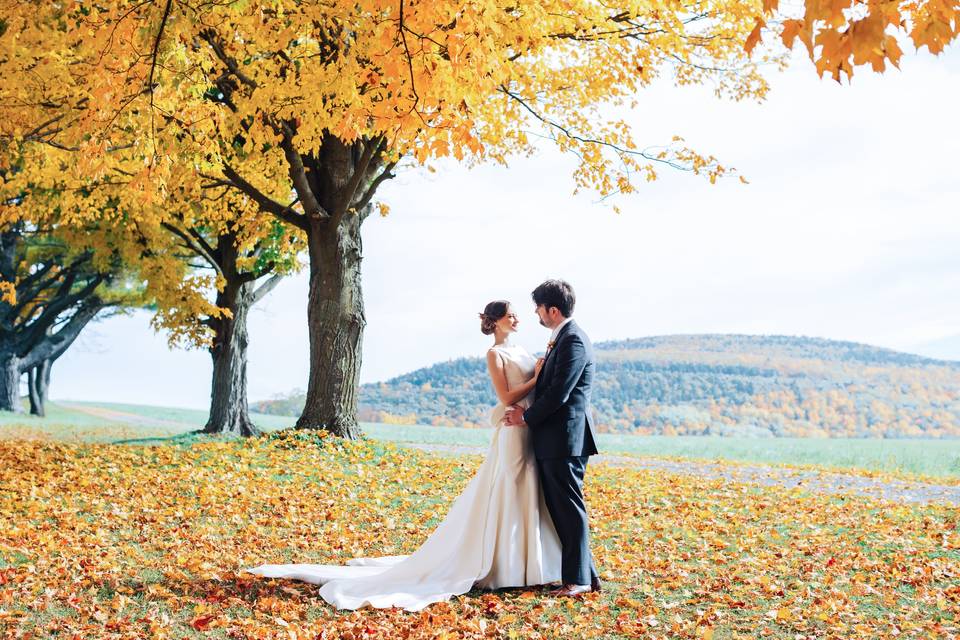 Fall color