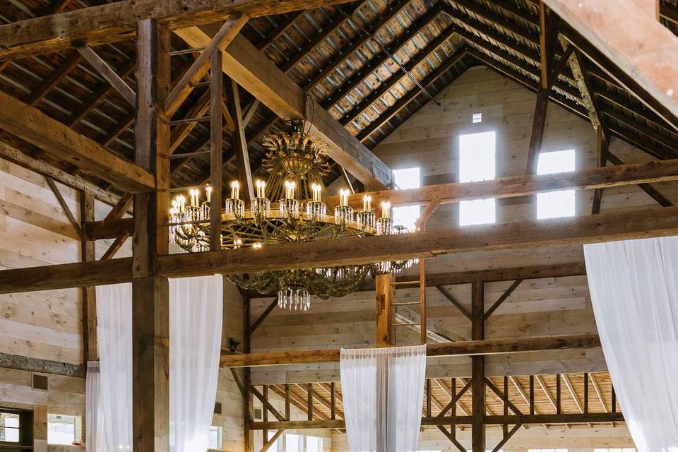 Reception Space with Draping