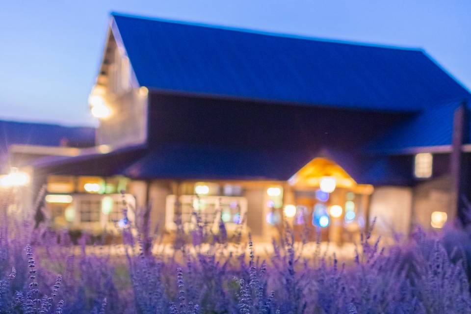 Sablewood evening lights
