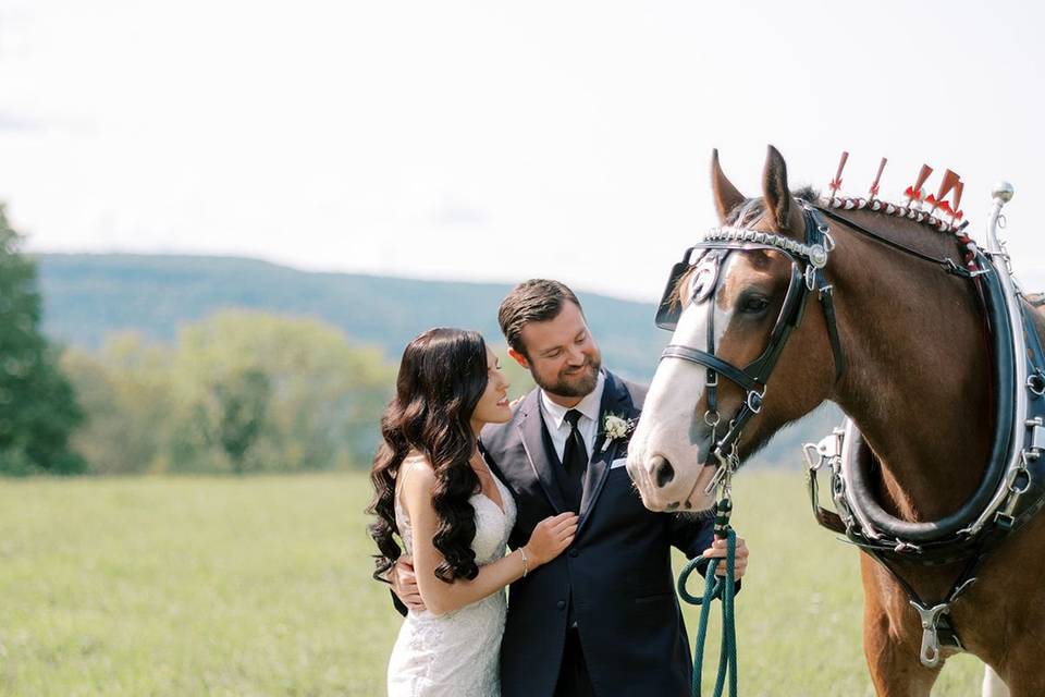 Horse & Carriage Vendor