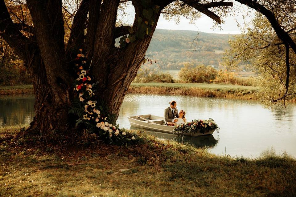 Willow tree over pond