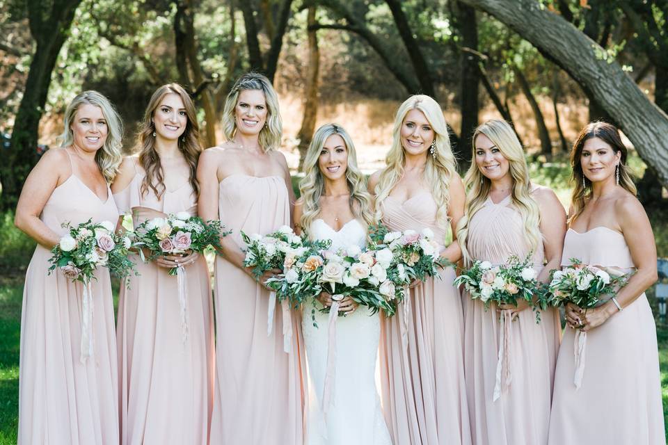 Bride and bridesmaids