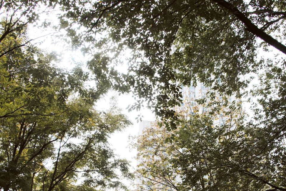 Cathedral of Learning Wedding