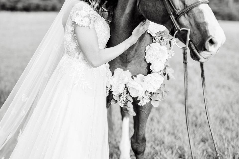 Horse and bride