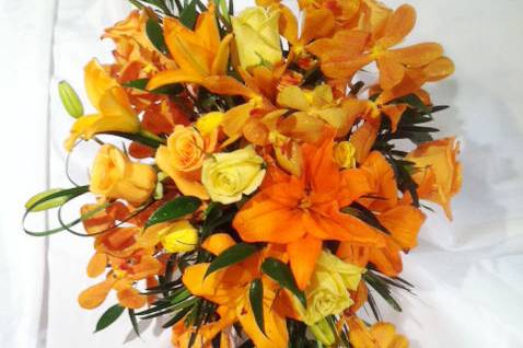 Orange flowers