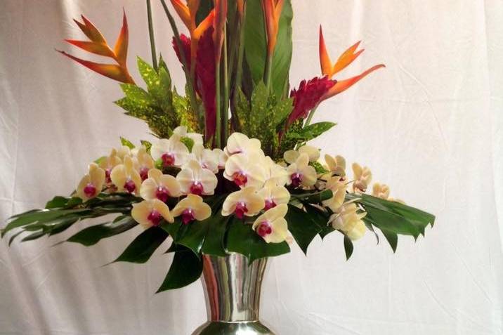 Marco Island Florist  Home & Gifts