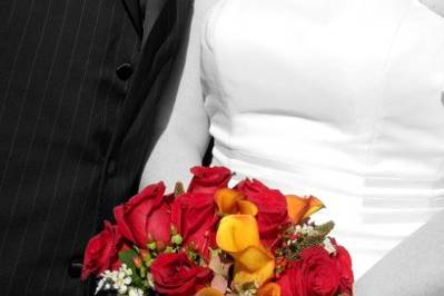 Natalie Willis Photography