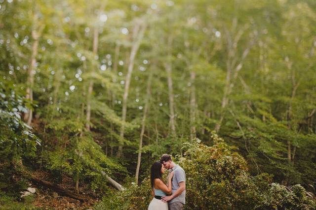 Pat Robinson Photography