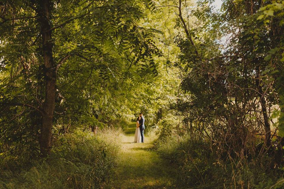Pat Robinson Photography
