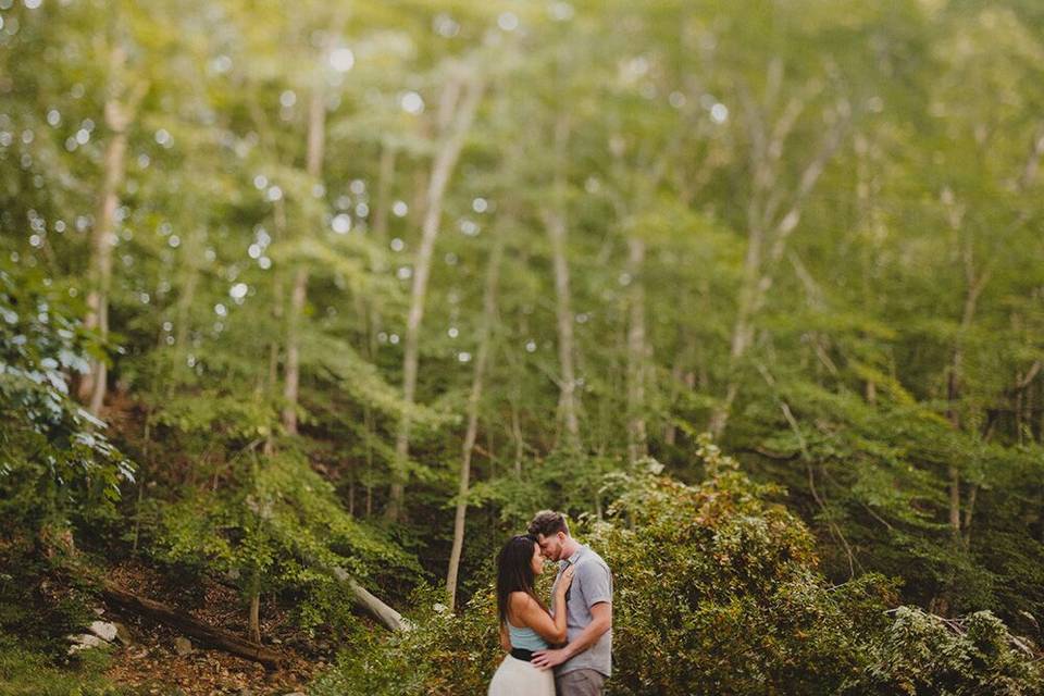 Pat Robinson Photography