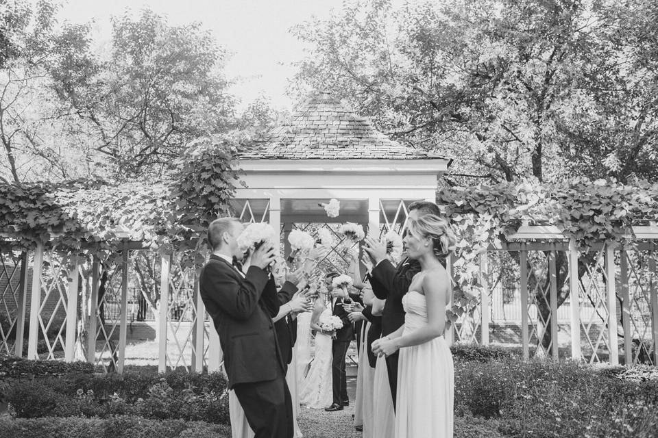 Pat Robinson Photography