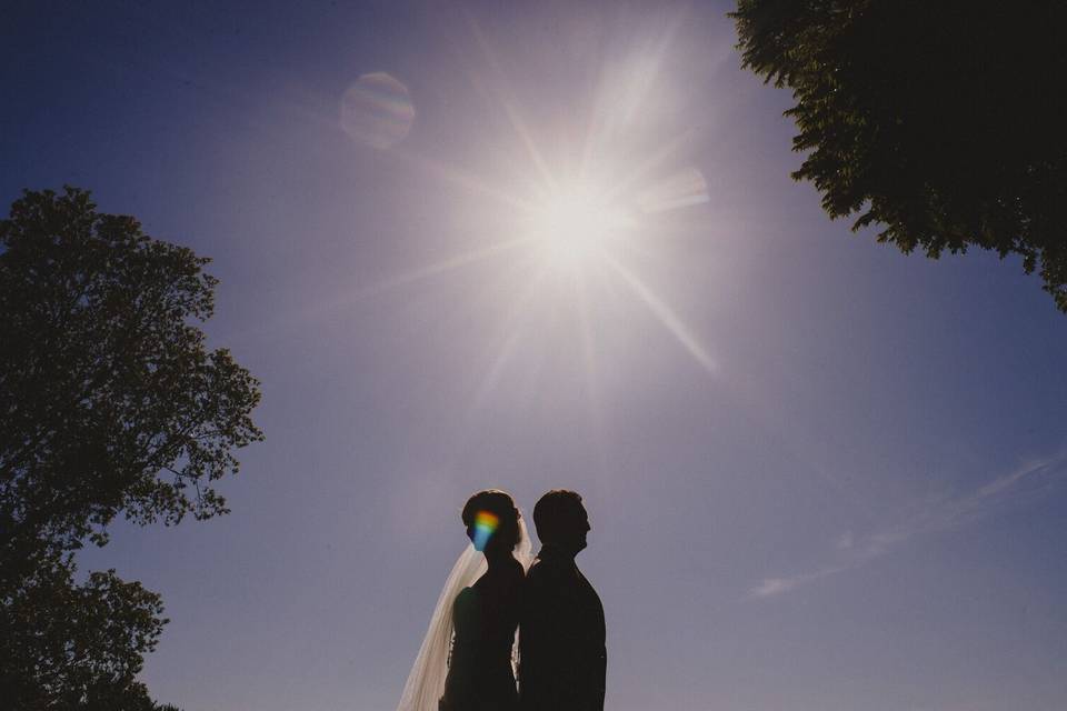 Pat Robinson Photography