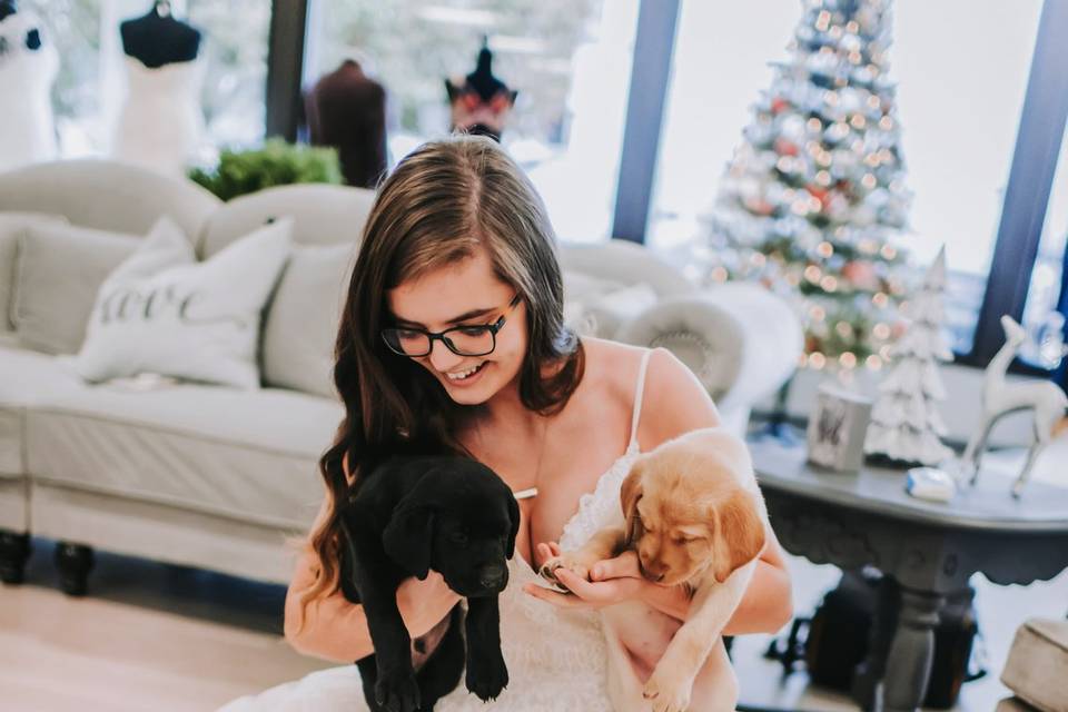 Puppies and dresses!