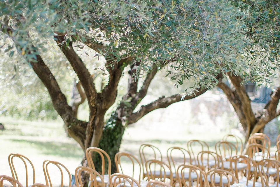 Ceremony under the olive tree