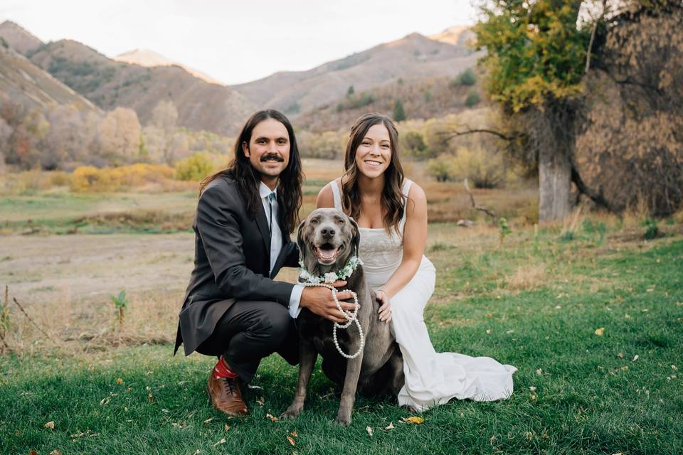 Bride, groom and fur baby