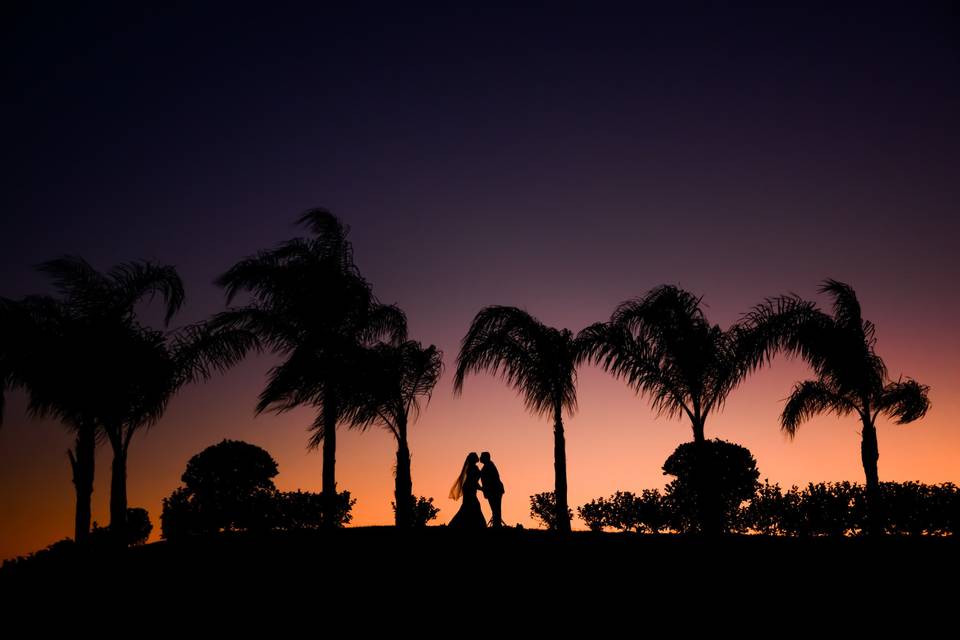 Sunset Palms