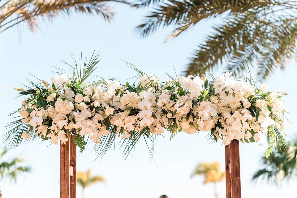 Tropical Arch