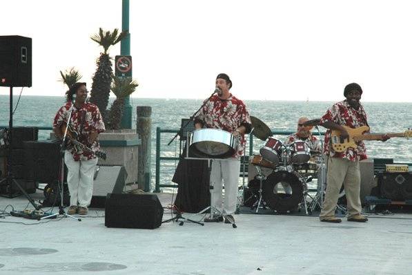 Panjive Steel Drum Entertainment