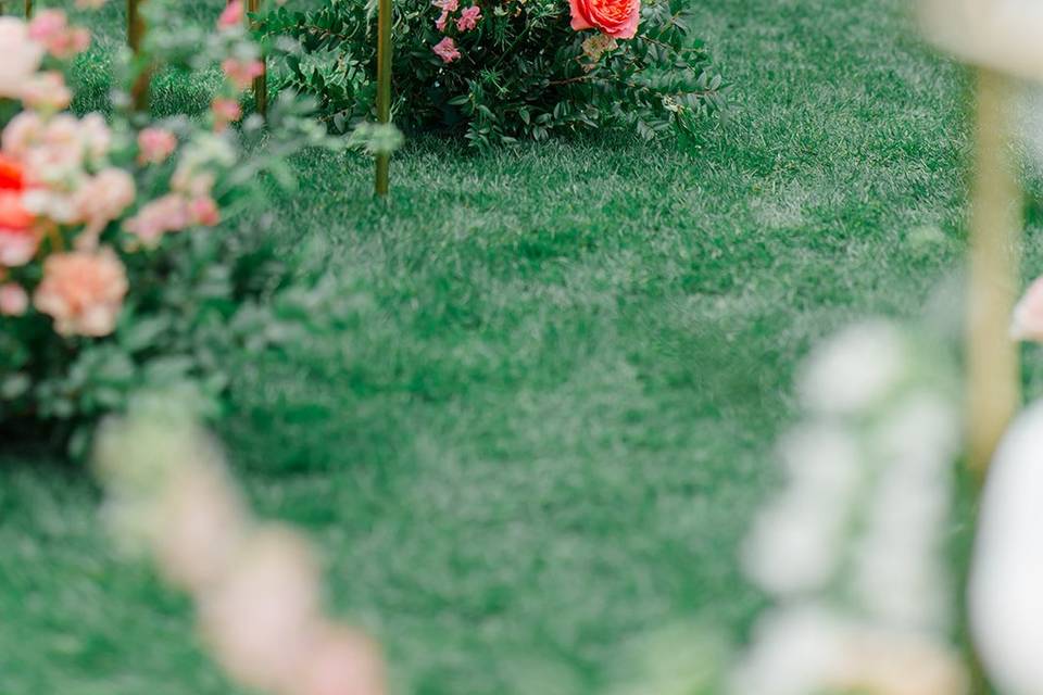 Colorful Wedding