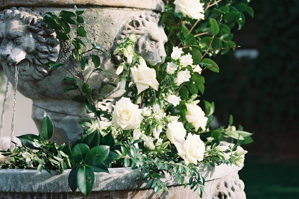 White Rose Wedding