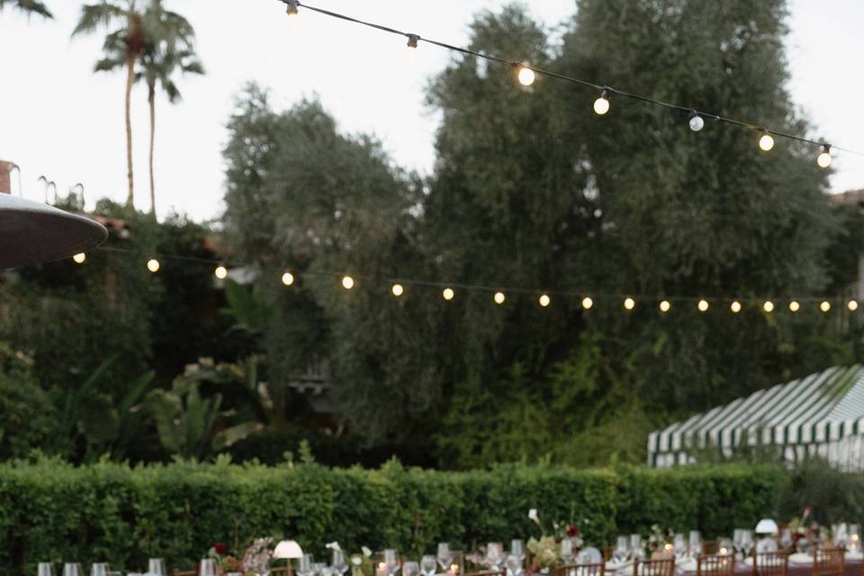 Winter Wedding