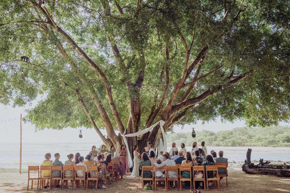 Tropical ceremony