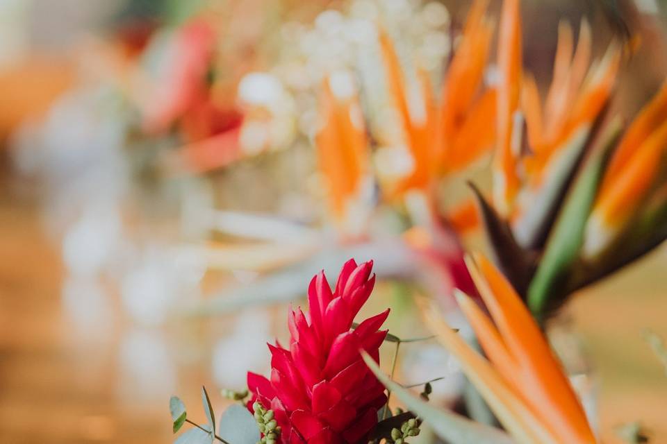 Tropical centerpieces