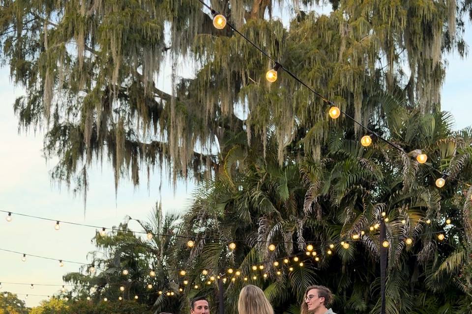 Wedding Reception