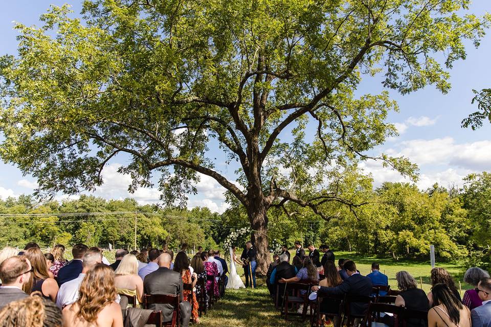 Tree Ceremony