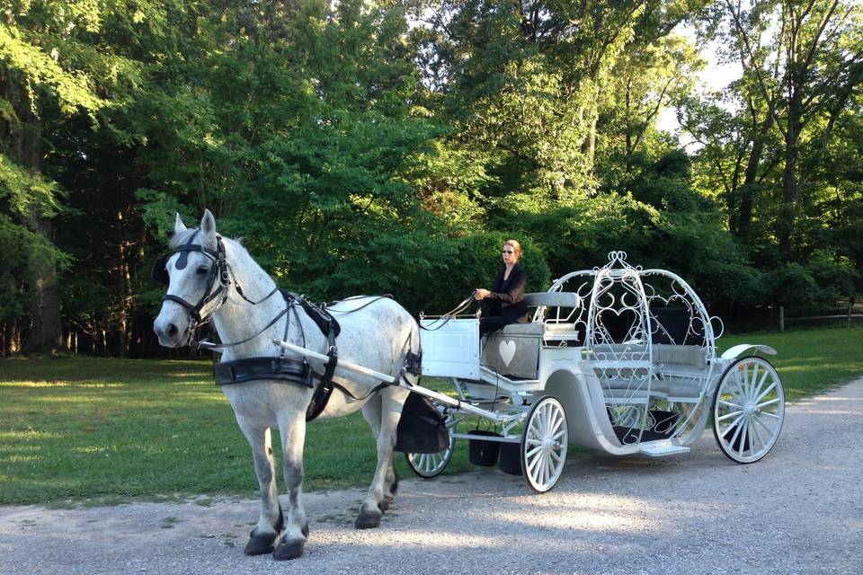 Carriage Tours of Memphis