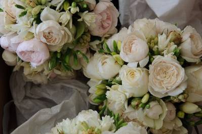 VIVID ART FLORAL