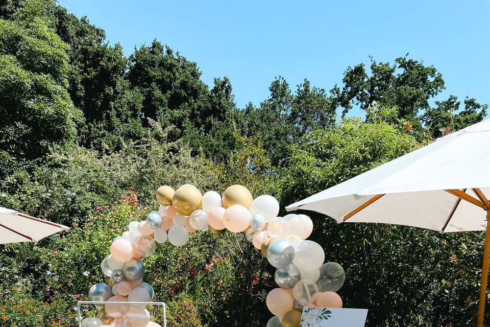 Bubble Bar and Balloon Arch