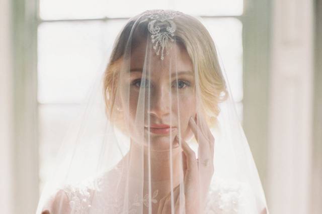Veil and Light