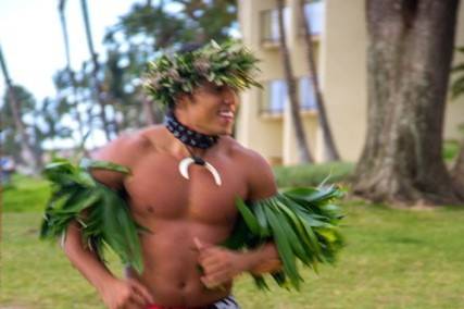 Hawaii Hula Company