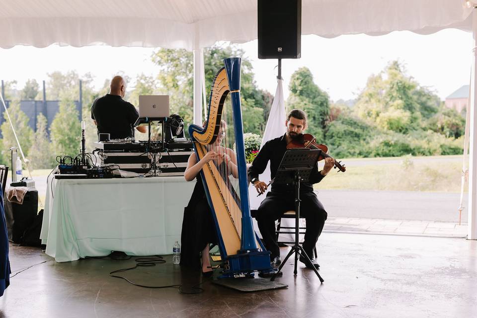 Harp and viola duo