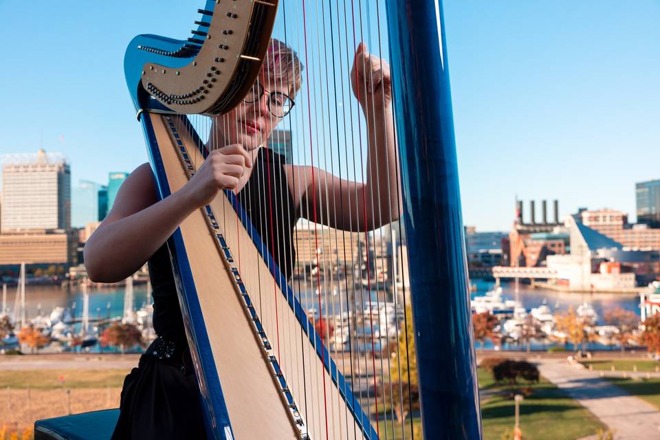 Harp Federal Hill, Baltimore