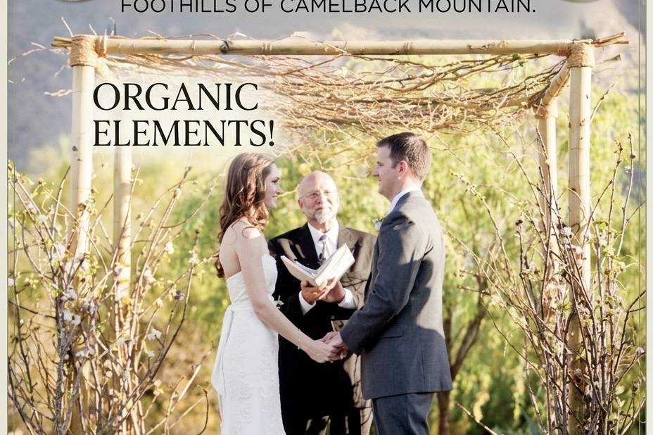Birch Wedding Arbor Rentals