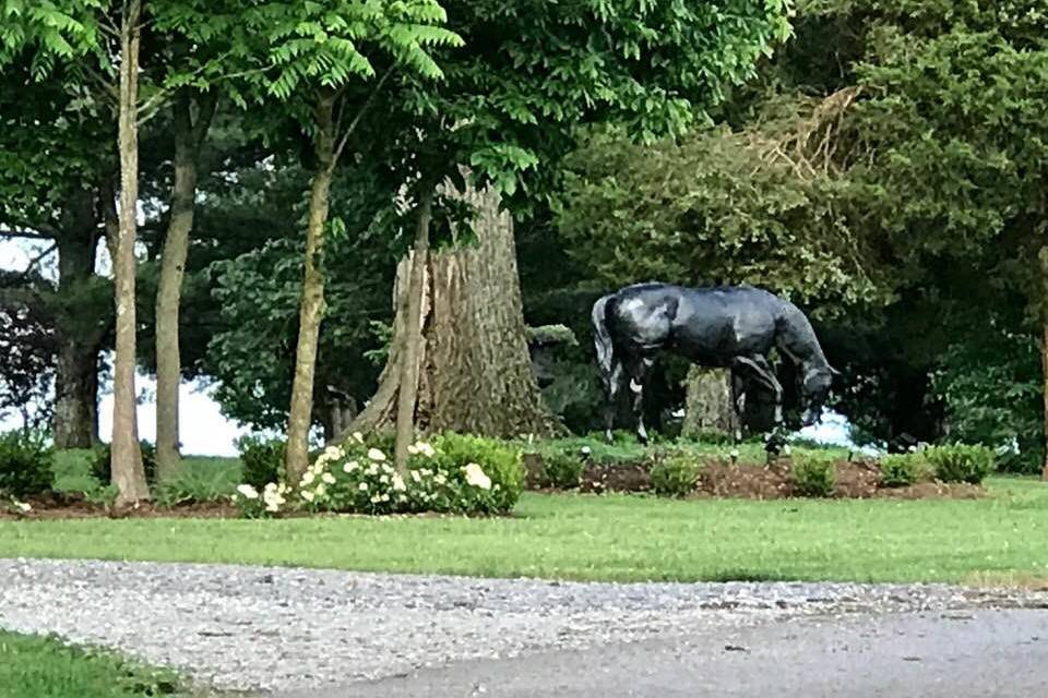 Historic Shelby Manor at Arcadia Farm