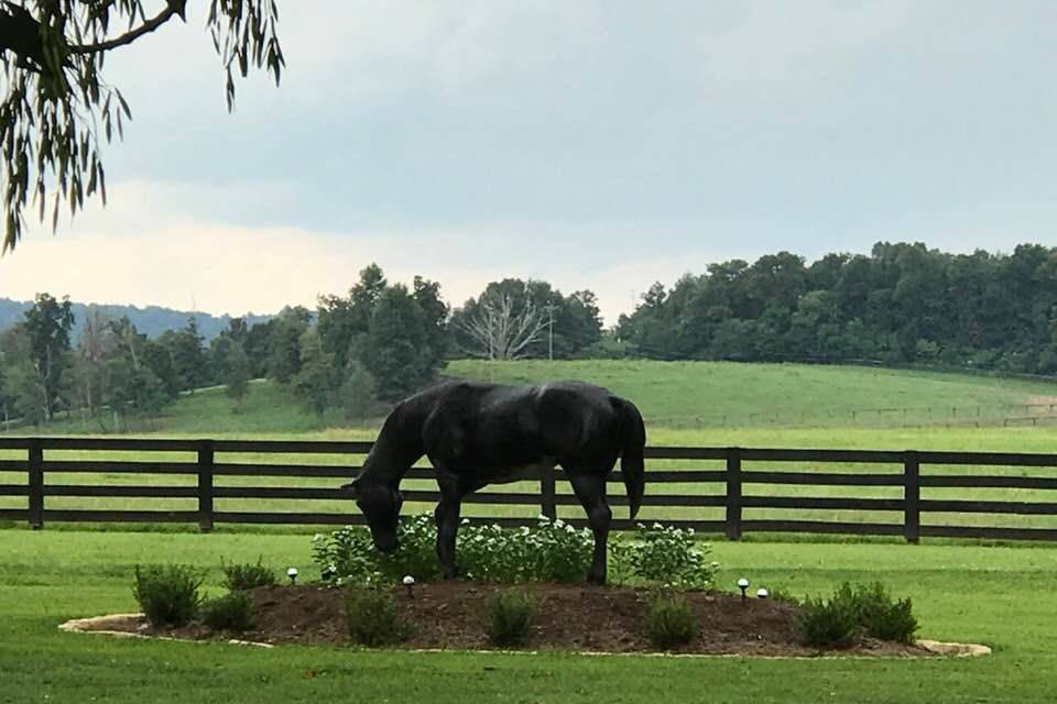 Historic Shelby Manor at Arcadia Farm