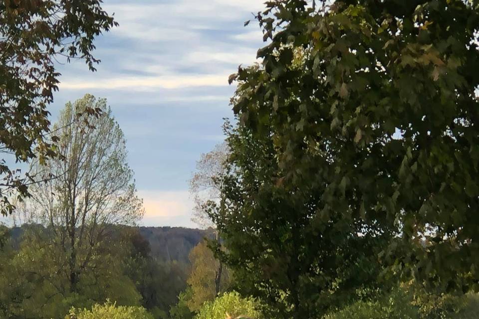 Historic Shelby Manor at Arcadia Farm