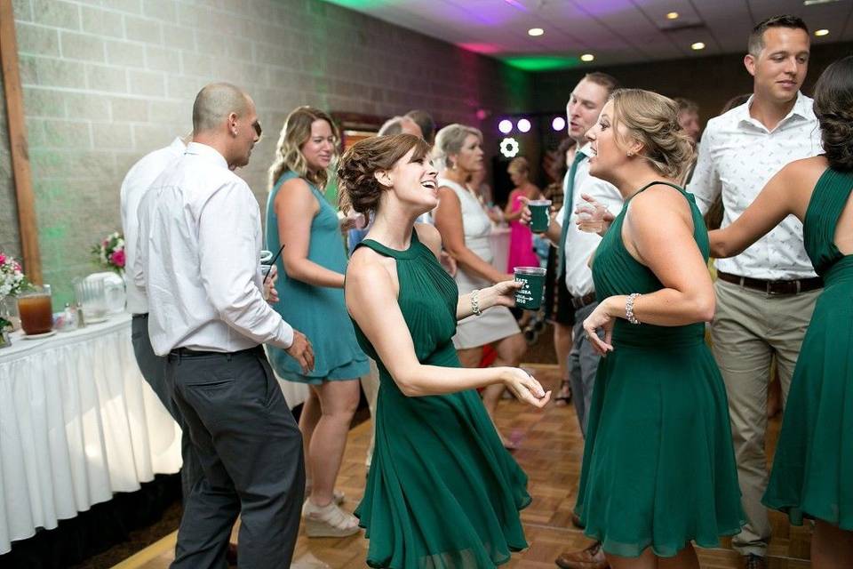 Reception/Guests Dancing © Shelby Photography