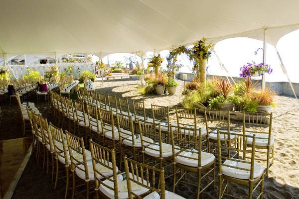 Chiavari Chairs of Michigan