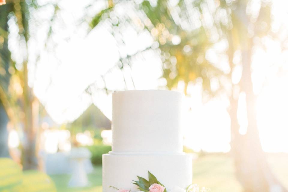 Simple wedding cake